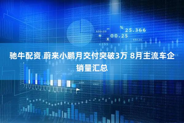 驰牛配资 蔚来小鹏月交付突破3万 8月主流车企销量汇总