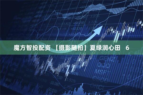 魔方智投配资 【摄影随拍】夏绿润心田   6
