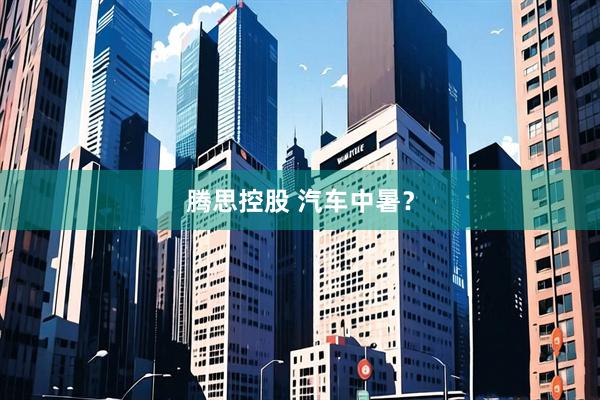 腾思控股 汽车中暑？