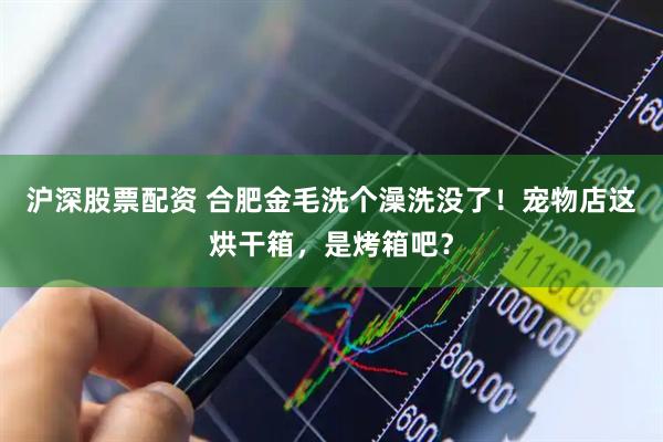 沪深股票配资 合肥金毛洗个澡洗没了！宠物店这烘干箱，是烤箱吧？