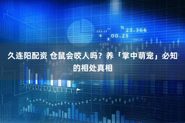 久连阳配资 仓鼠会咬人吗？养「掌中萌宠」必知的相处真相